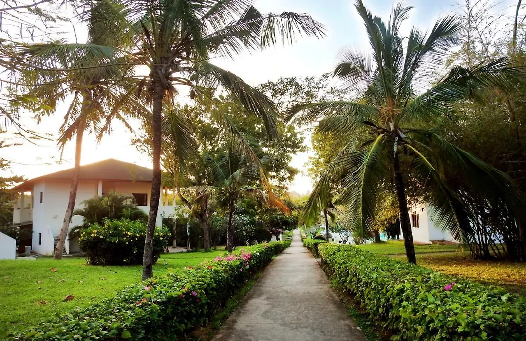 Gecko Resort-1